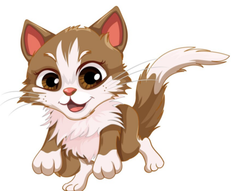 Funny Names For Cats
