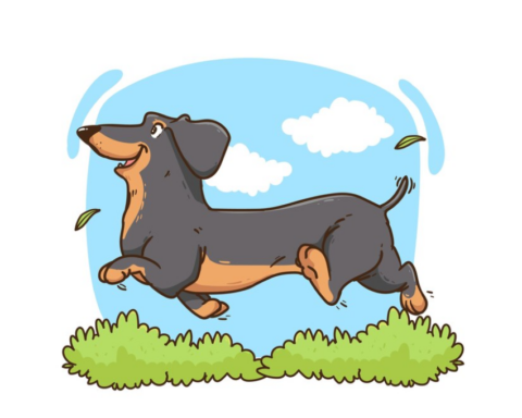 Funny Names For Dachshunds