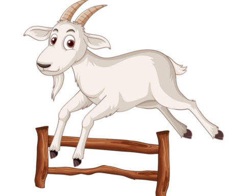 Funny Names For Goats