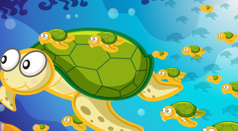 Funny Names For Turtles