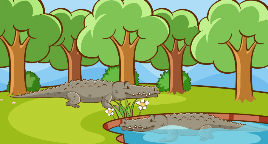 Funny Names for Alligators