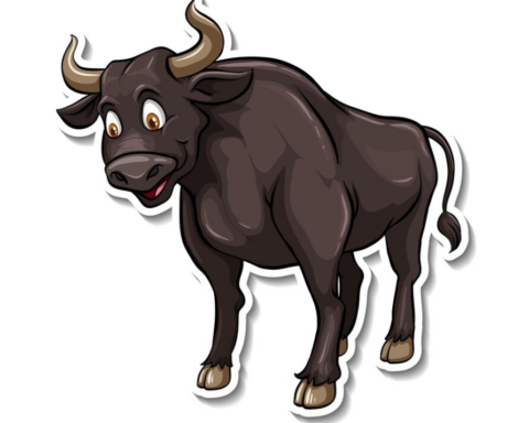 Funny Names for Bulls