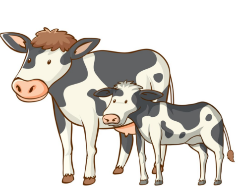 Funny Names for Cows