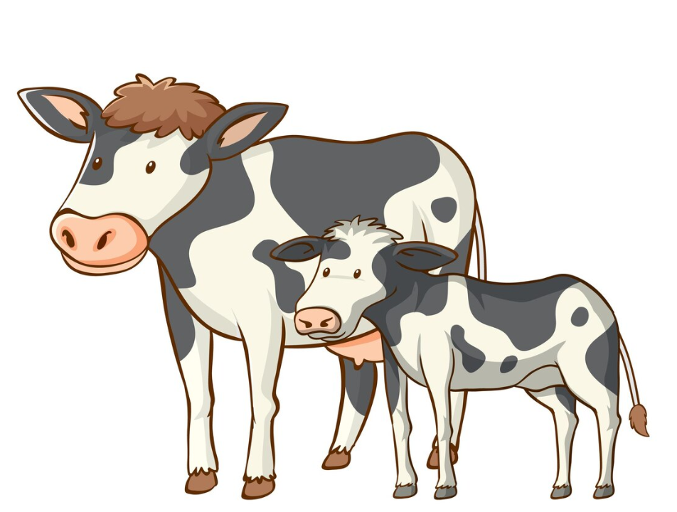 Funny Names for Cows