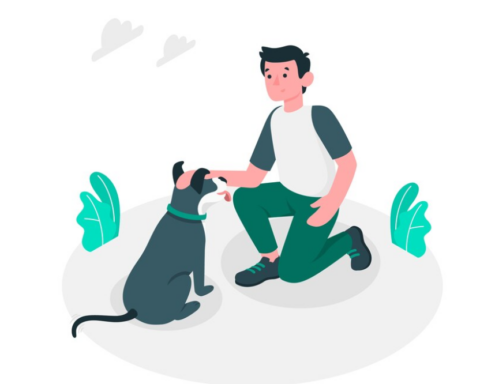 Funny Names for Dog Owners