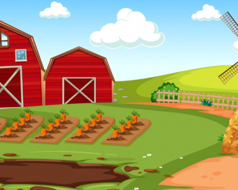 Funny Names for Farms