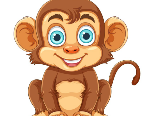 Funny Names for Monkeys