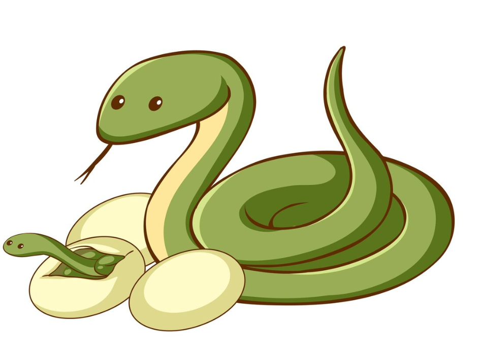 Funny Names for Snakes